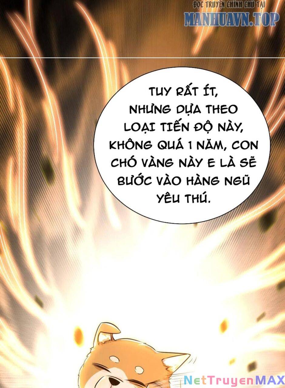 Thiên Khải Bại Gia Chapter 15 - Trang 22