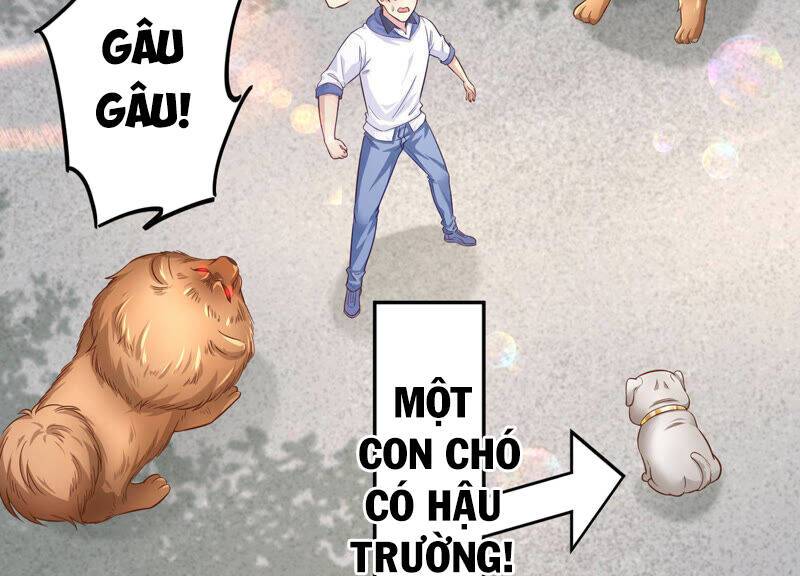 Siêu Năng Bất Lương Học Bá Chapter 7 - Trang 50