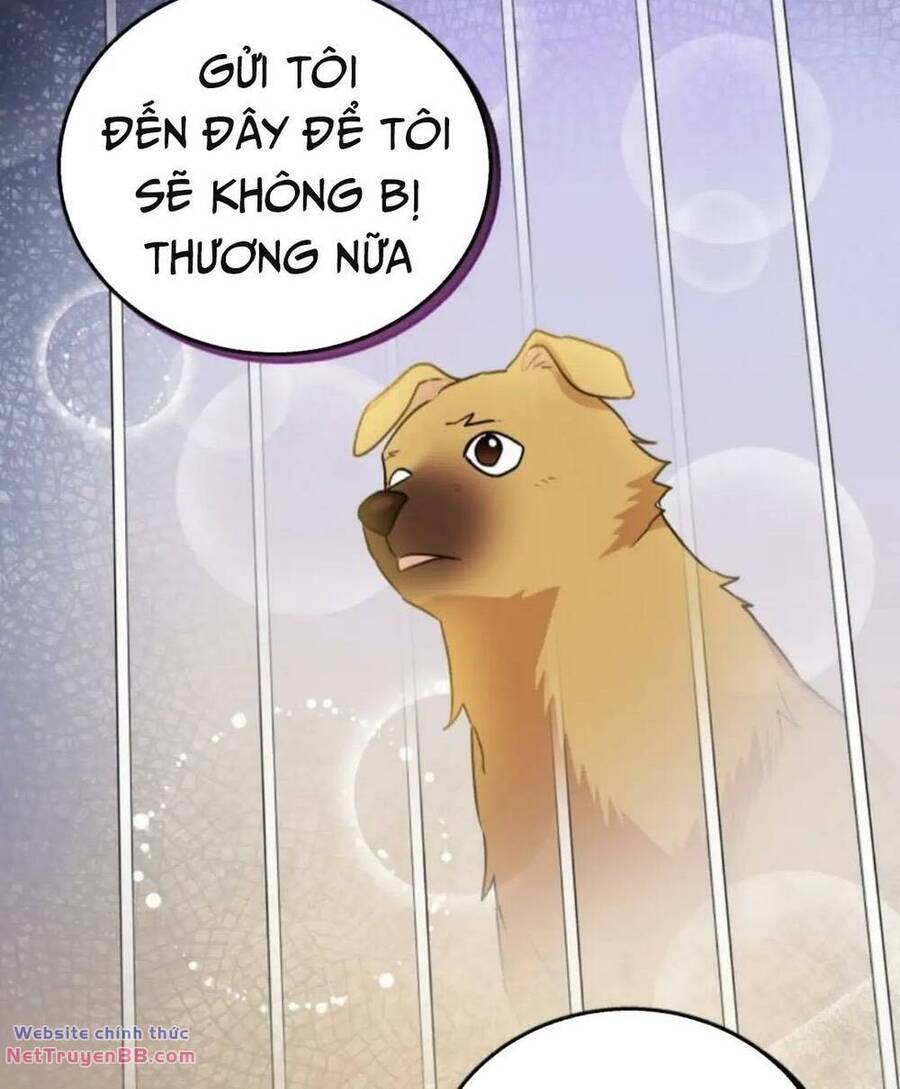 Xin Chào! Bác Sĩ Thú Y Chapter 19 - Trang 11