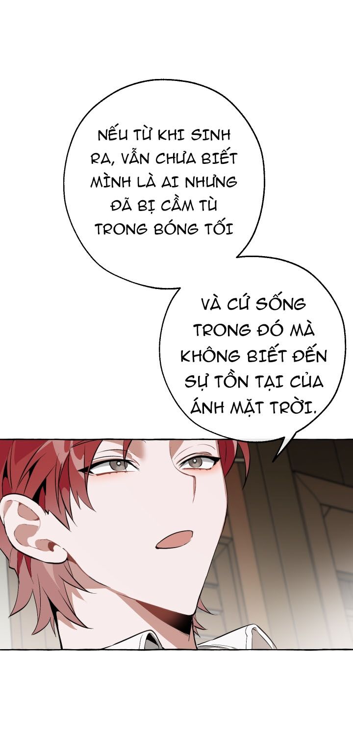 Sự Ra Đời Của Một Anh Hùng Chapter 17 - Trang 12