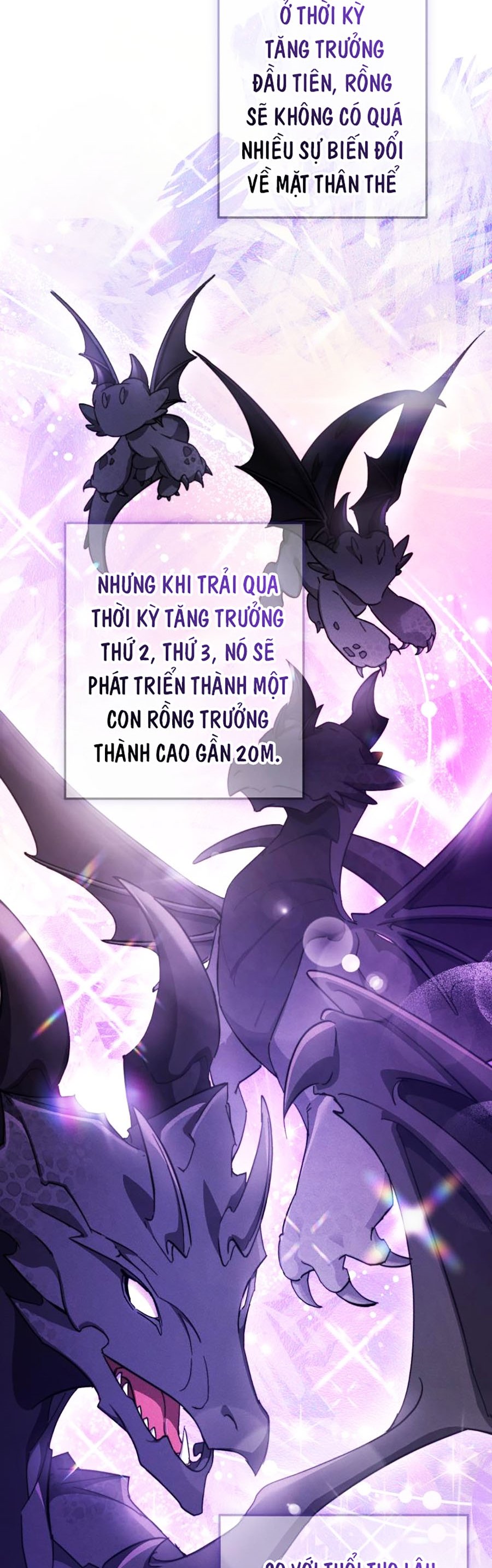 Sự Ra Đời Của Một Anh Hùng Chapter 110 - Trang 5