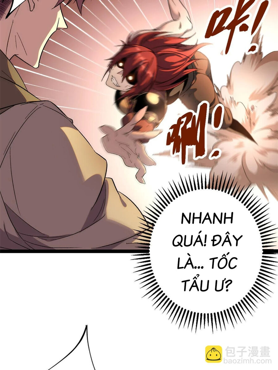 Cái Bóng Vạn Năng Chapter 204 - Trang 13