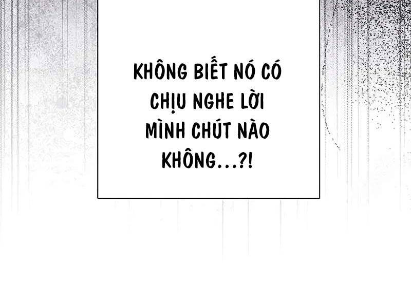 Những Ranker Cấp S Mà Tôi Nuôi Dưỡng Chapter 145 - Trang 25