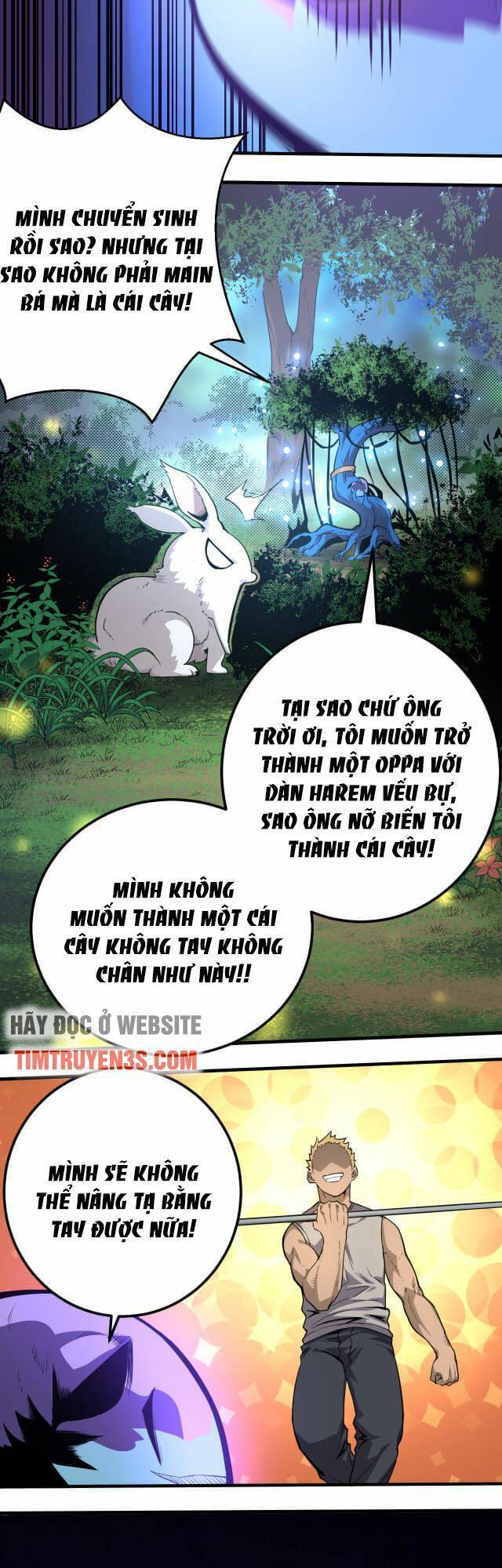 Chuyển Sinh Thành Liễu Đột Biến Chapter 1 - Trang 10