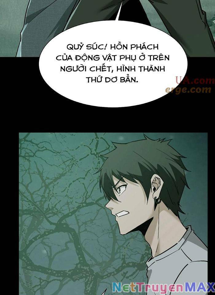 Ngày Tôi Sinh Ra, Bách Quỷ Dạ Hành, Tuyết Thi Hộ đạo Chapter 54 - Trang 3