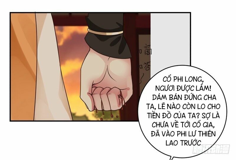 Hỗn độn đan Thần Chapter 4 - Trang 13