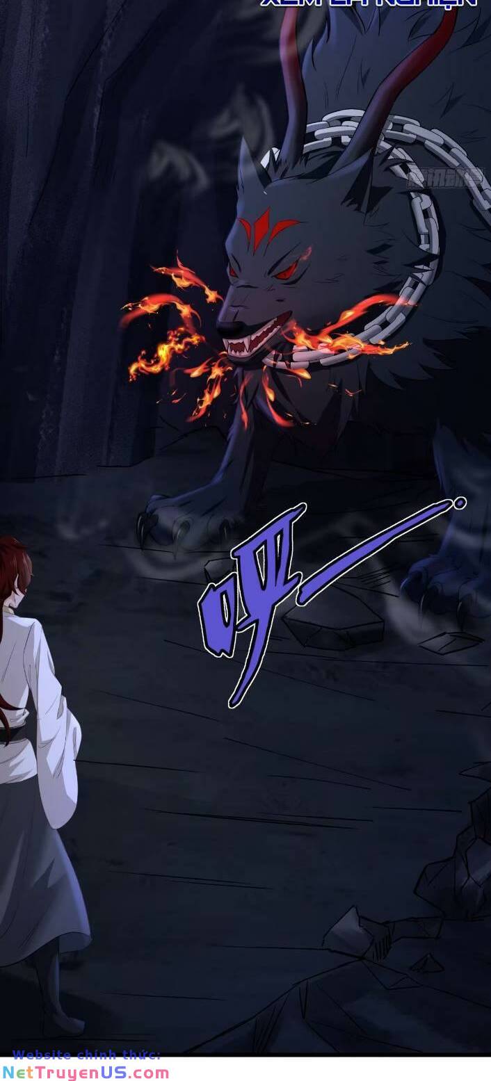 Thái Cổ Yêu Thánh Lấy Ta Làm Lô Đỉnh Chapter 12 - Trang 5