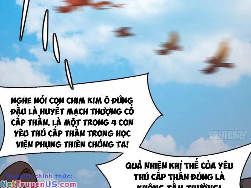 Thái Cổ Yêu Thánh Lấy Ta Làm Lô Đỉnh Chapter 13 - Trang 13