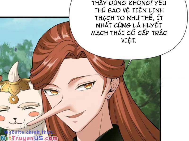 Thái Cổ Yêu Thánh Lấy Ta Làm Lô Đỉnh Chapter 13 - Trang 6