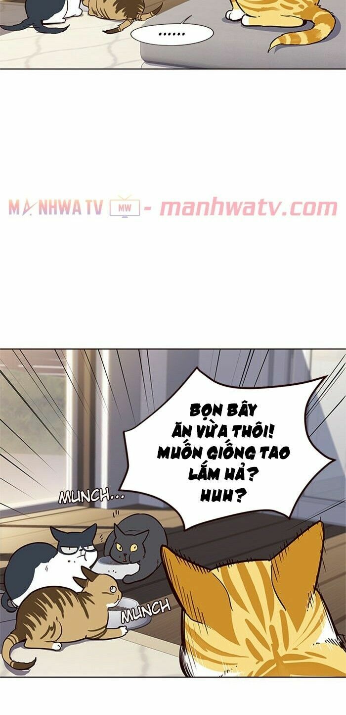 Hóa Thân Thành Mèo Chapter 17 - Trang 40