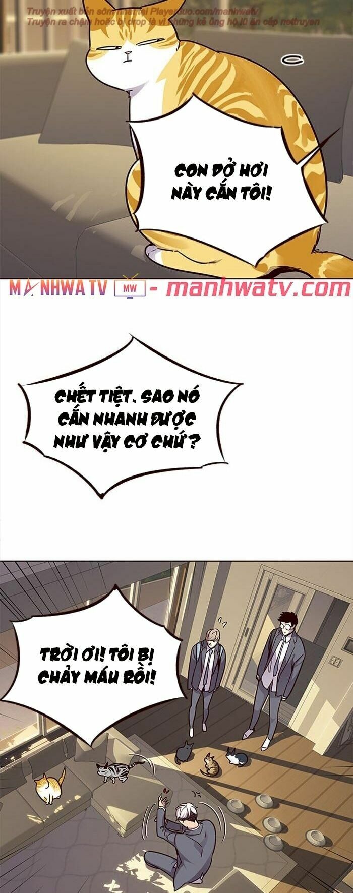 Hóa Thân Thành Mèo Chapter 38 - Trang 28