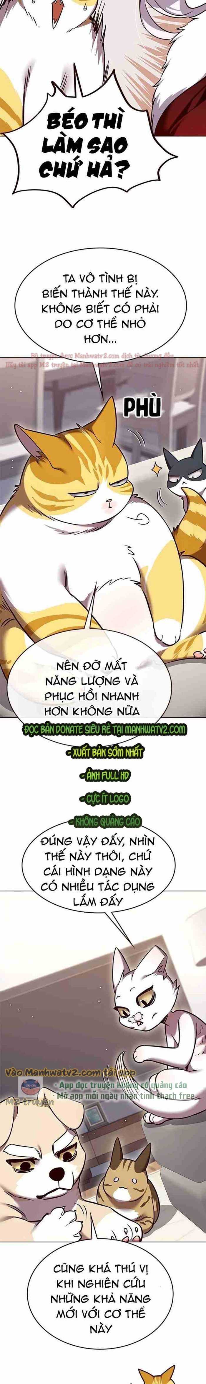 Hóa Thân Thành Mèo Chapter 308 - Trang 16