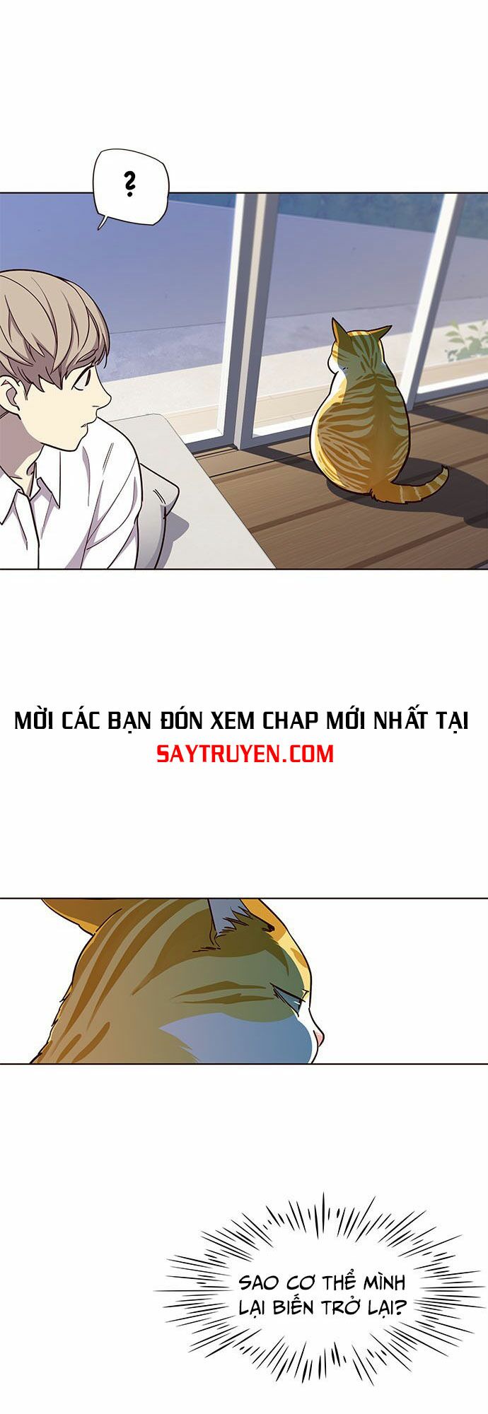 Hóa Thân Thành Mèo Chapter 16 - Trang 9