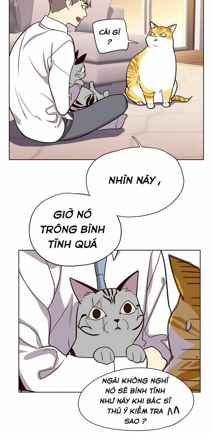 Hóa Thân Thành Mèo Chapter 10 - Trang 25