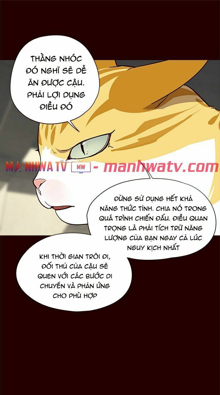 Hóa Thân Thành Mèo Chapter 27 - Trang 41