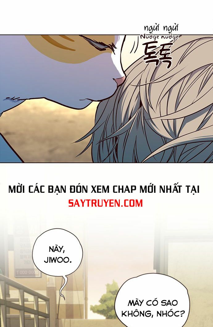 Hóa Thân Thành Mèo Chapter 14 - Trang 16