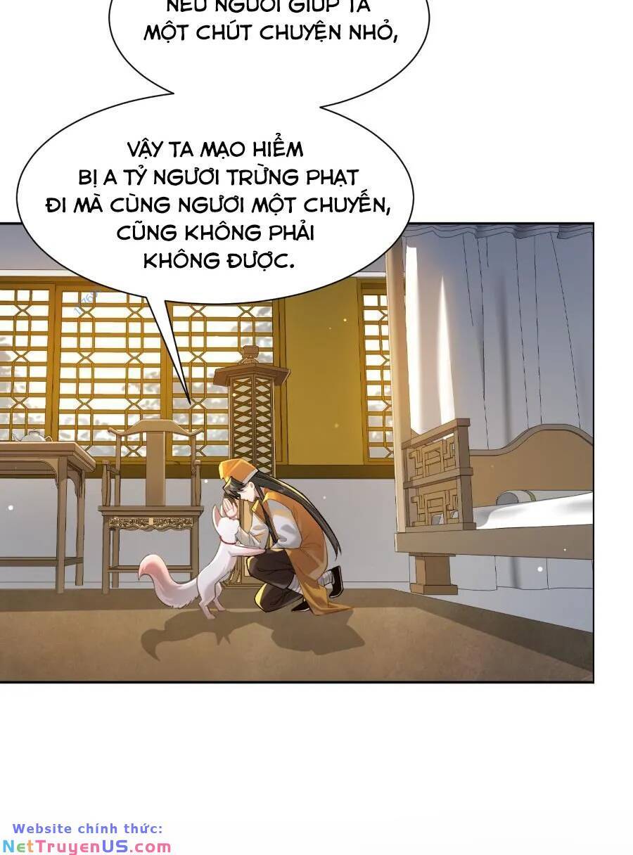 Bói Toán Mà Thôi, Cửu Vĩ Yêu Đế Sao Lại Thành Nương Tử Ta?! Chapter 24 - Trang 63