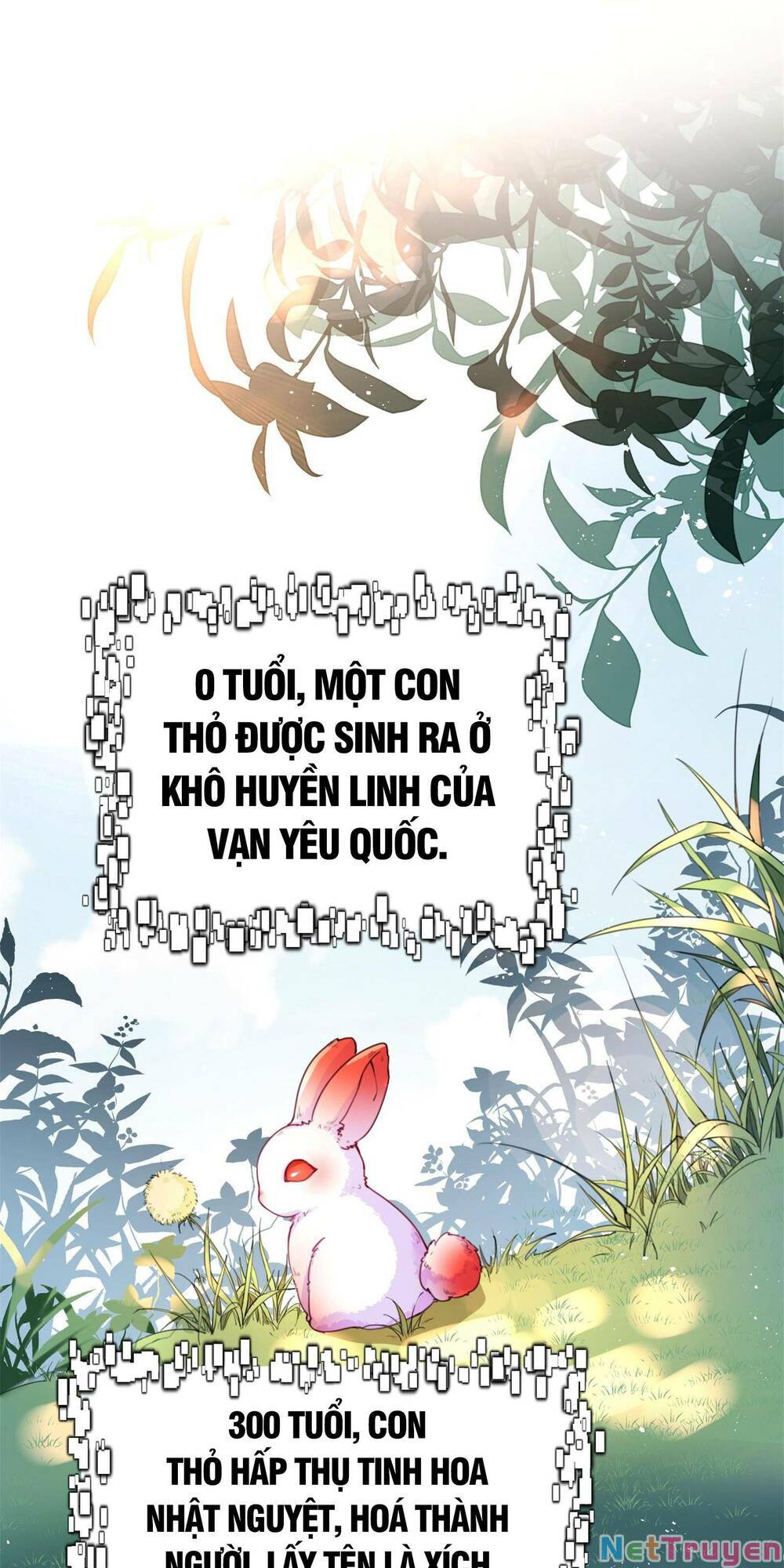 Bói Toán Mà Thôi, Cửu Vĩ Yêu Đế Sao Lại Thành Nương Tử Ta?! Chapter 1 - Trang 45