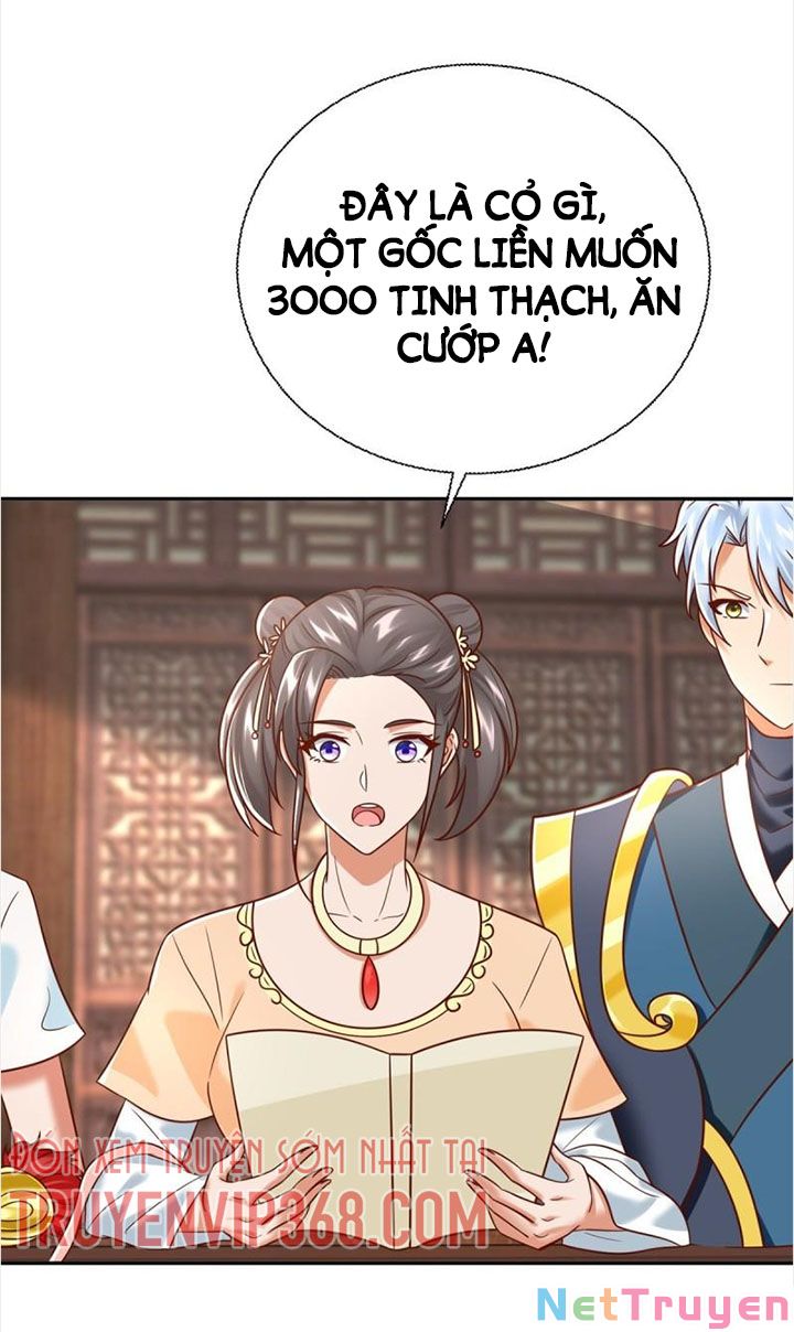 Chí Tôn Trọng Sinh Chapter 207 - Trang 17