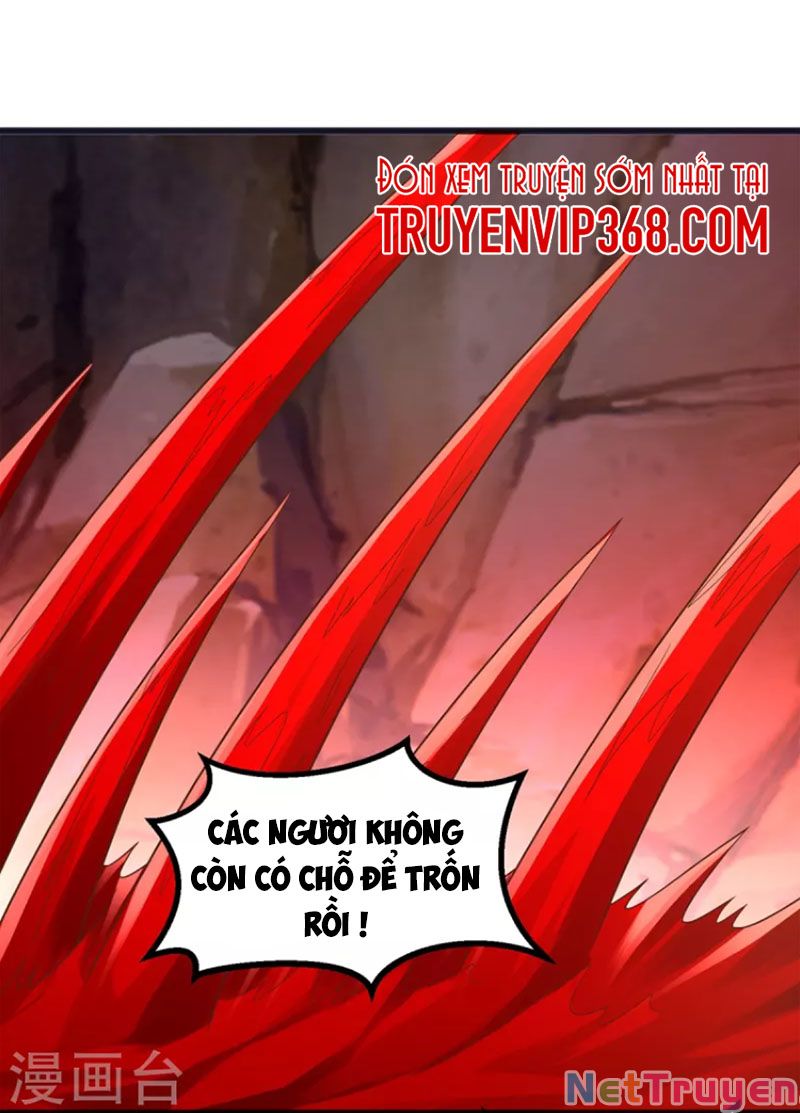 Chí Tôn Trọng Sinh Chapter 178 - Trang 4