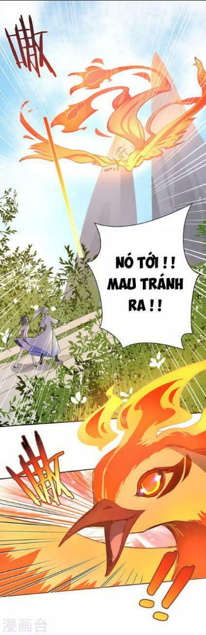 Tôn Thượng Chapter 8 - Trang 16