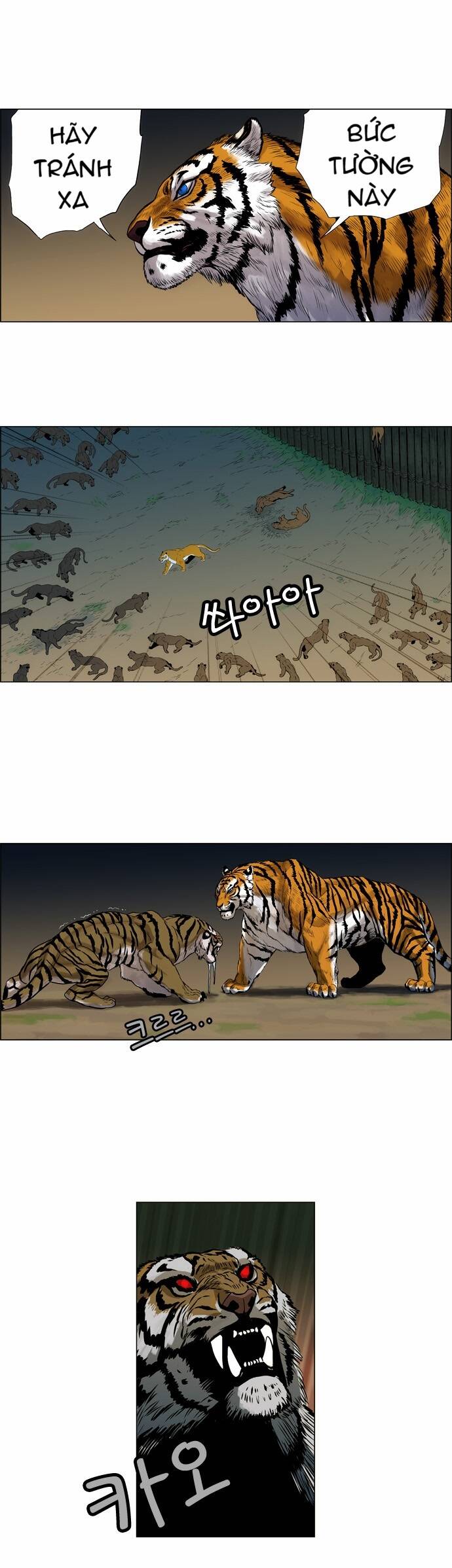 Tiger Brother Chapter 2 - Trang 23