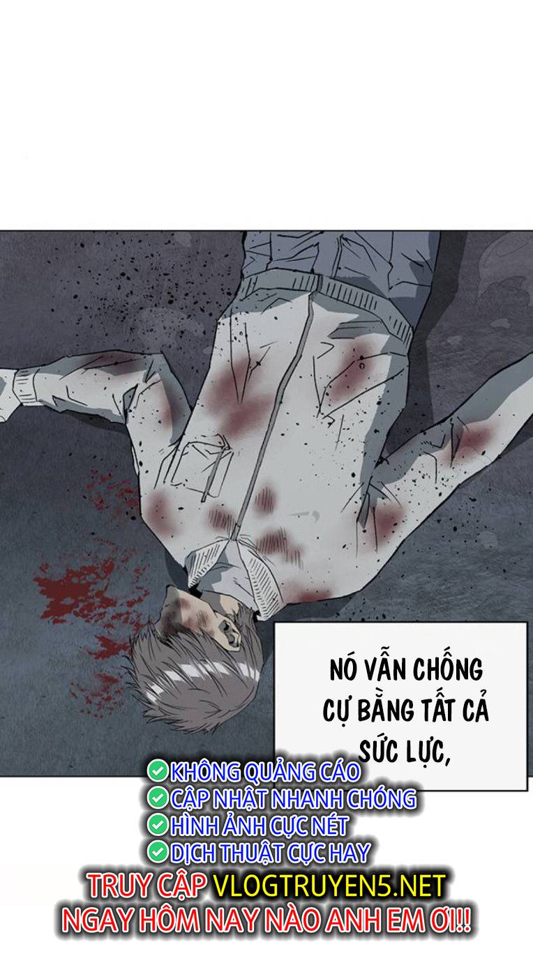 Anh Hùng Yếu Chapter 254 - Trang 88