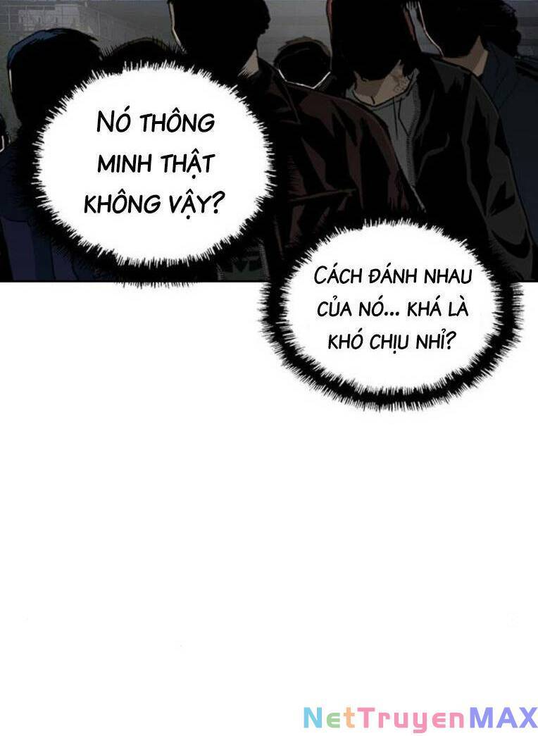 Anh Hùng Yếu Chapter 252 - Trang 54