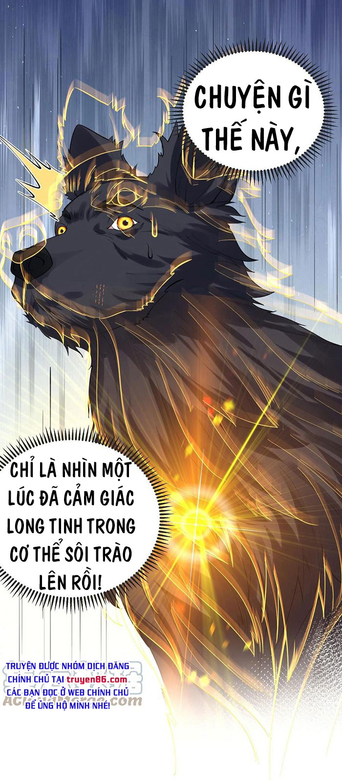 Ta Vô Địch Lúc Nào Chapter 37 - Trang 13