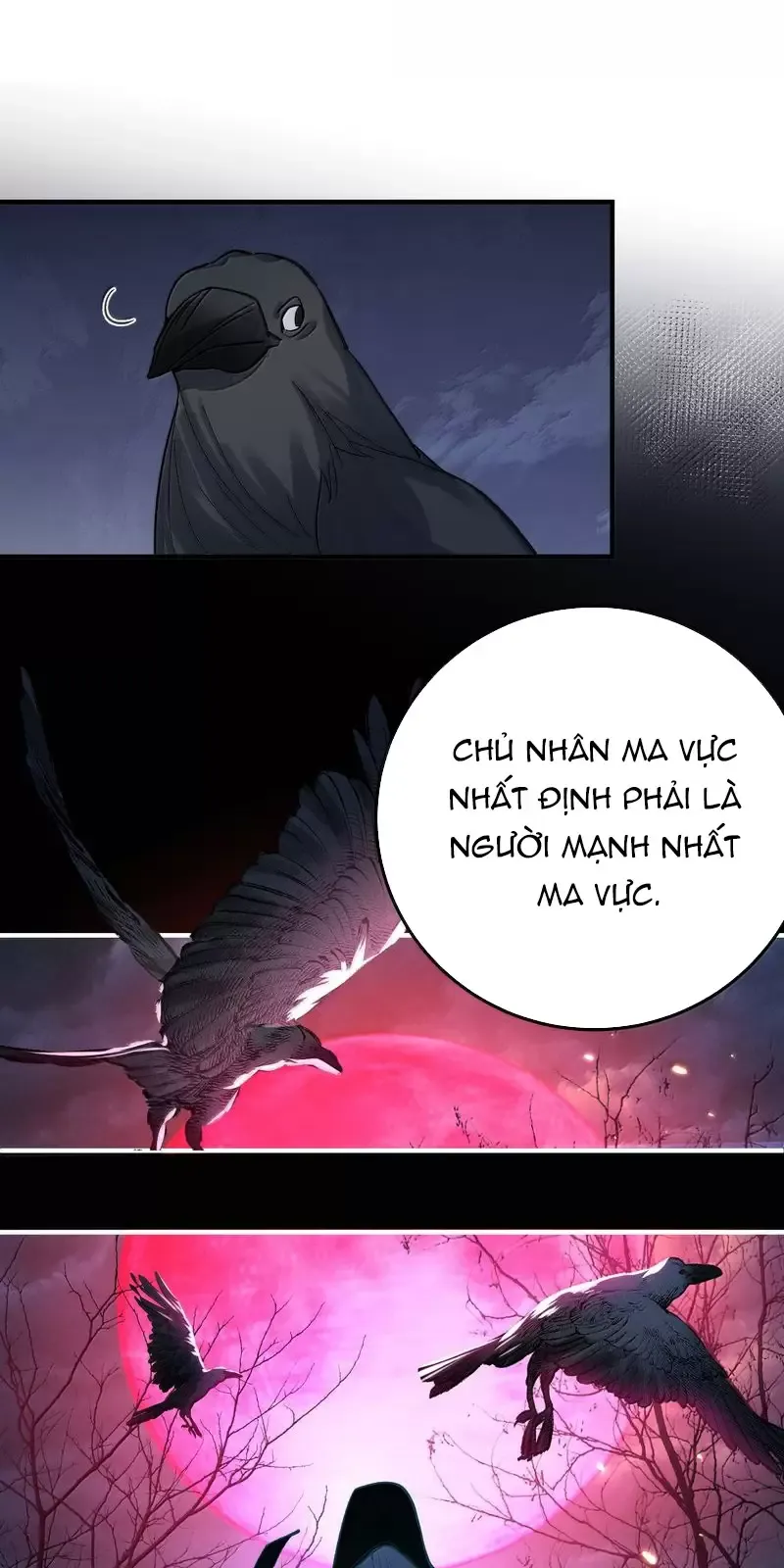 Ta Vô Địch Lúc Nào Chapter 270 - Trang 4