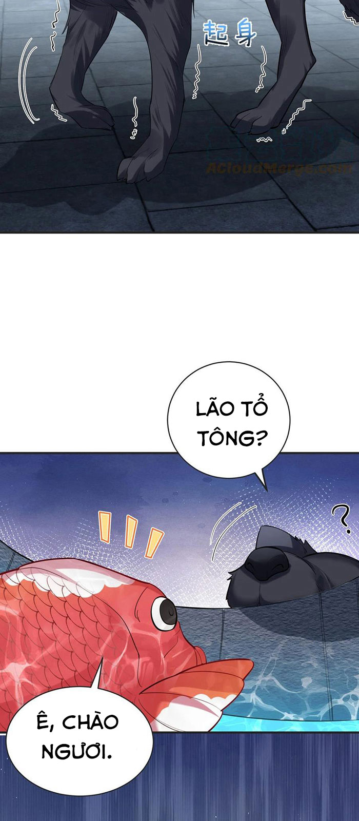 Ta Vô Địch Lúc Nào Chapter 37 - Trang 12