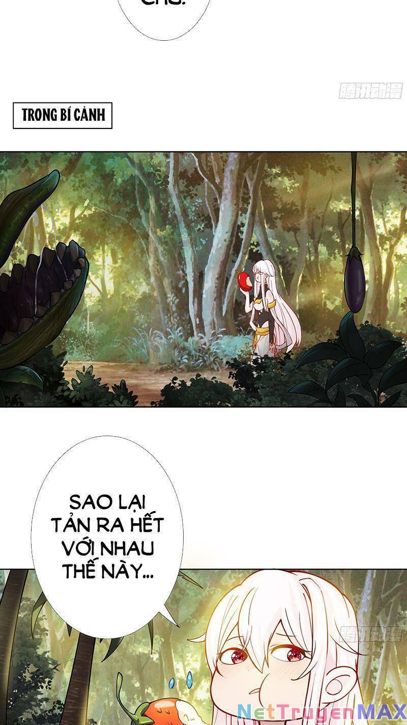 Đồ Đệ Của Ta Là Nữ Đế Chapter 14 - Trang 6