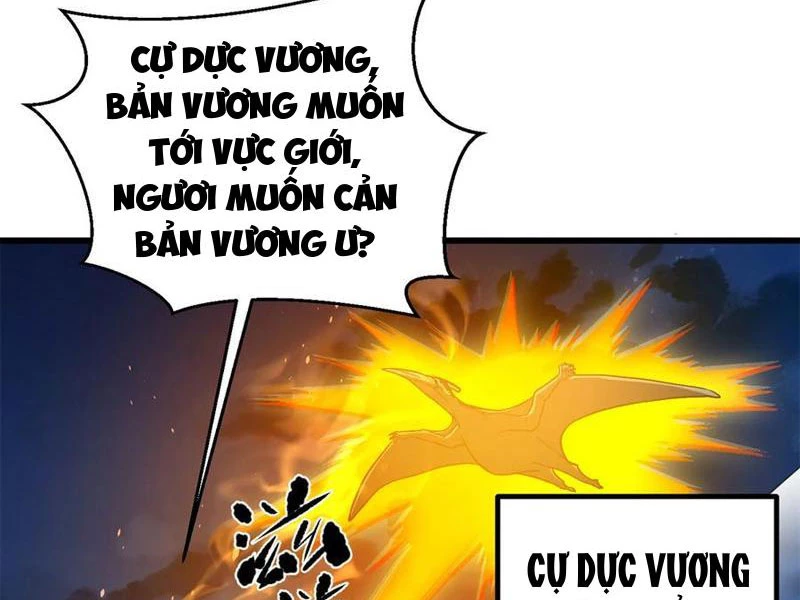 Toàn Cầu Cao Võ Chapter 265 - Trang 17