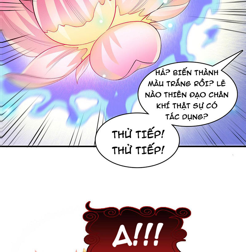 Thiên Đạo Đồ Thư Quán Chapter 291 - Trang 6