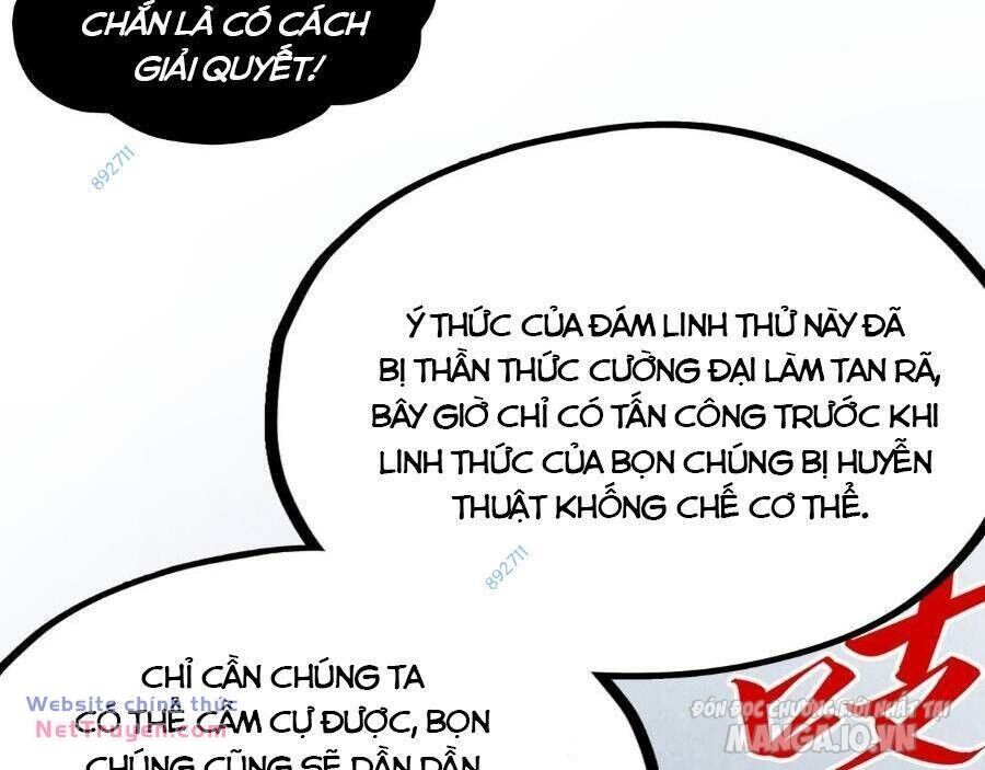 Vạn Cổ Chí Tôn Chapter 293 - Trang 13