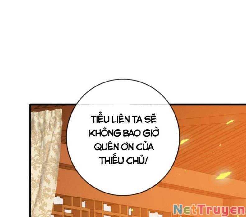 Hệ Thống Thăng Cấp Điên Cuồng Chapter 49 - Trang 77