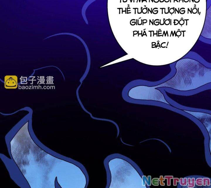 Hệ Thống Thăng Cấp Điên Cuồng Chapter 52 - Trang 18