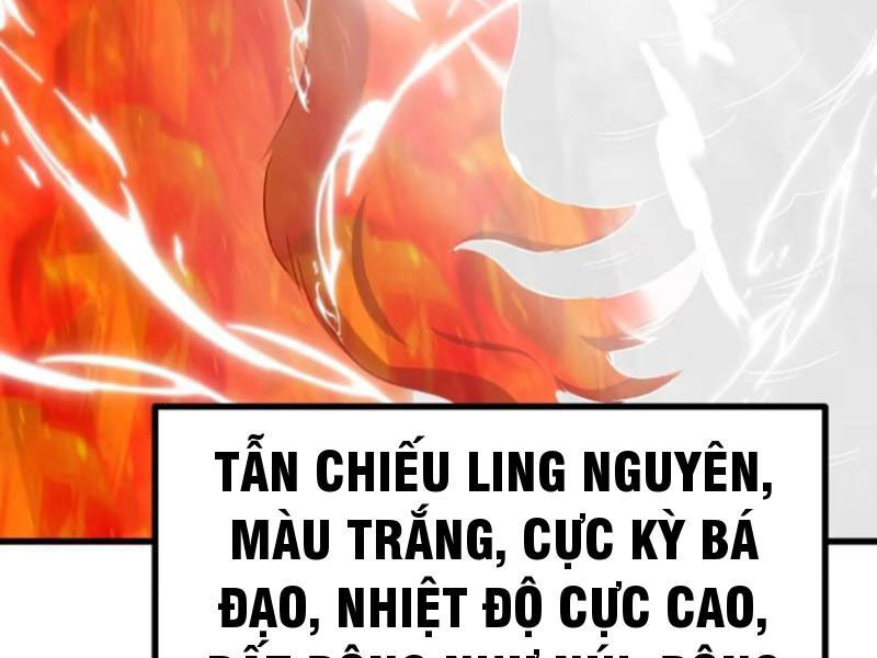 Ta Có Một Thân Kỹ Năng Bị Động Chapter 62 - Trang 83