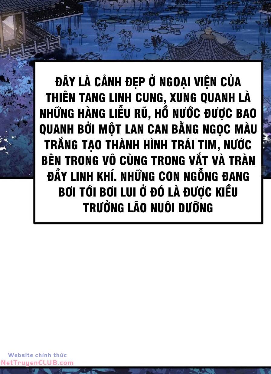 Ta Có Một Thân Kỹ Năng Bị Động Chapter 20 - Trang 12