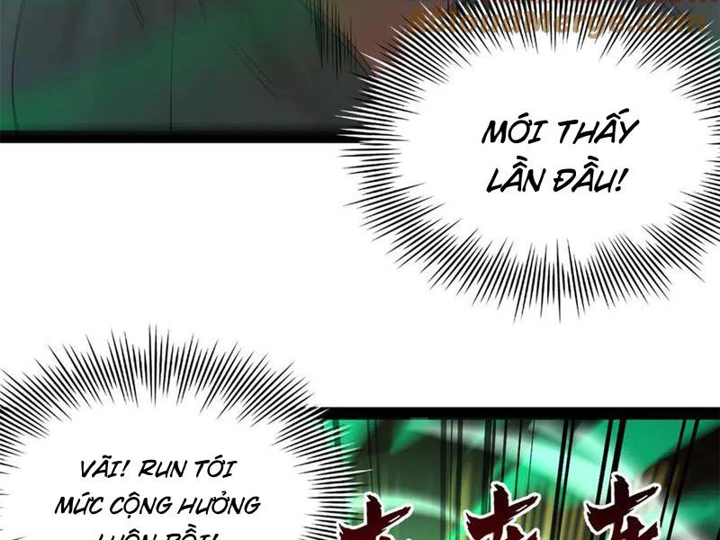 Chàng Rể Mạnh Nhất Lịch Sử Chapter 217 - Trang 34