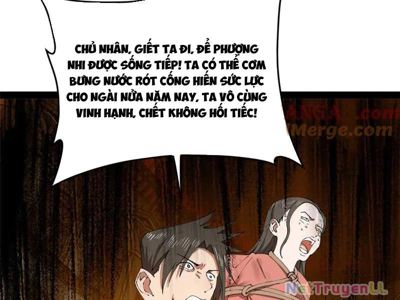 Chàng Rể Mạnh Nhất Lịch Sử Chapter 210 - Trang 51