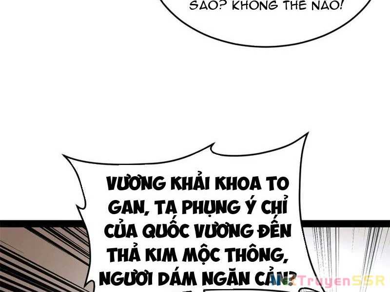 Chàng Rể Mạnh Nhất Lịch Sử Chapter 204 - Trang 12