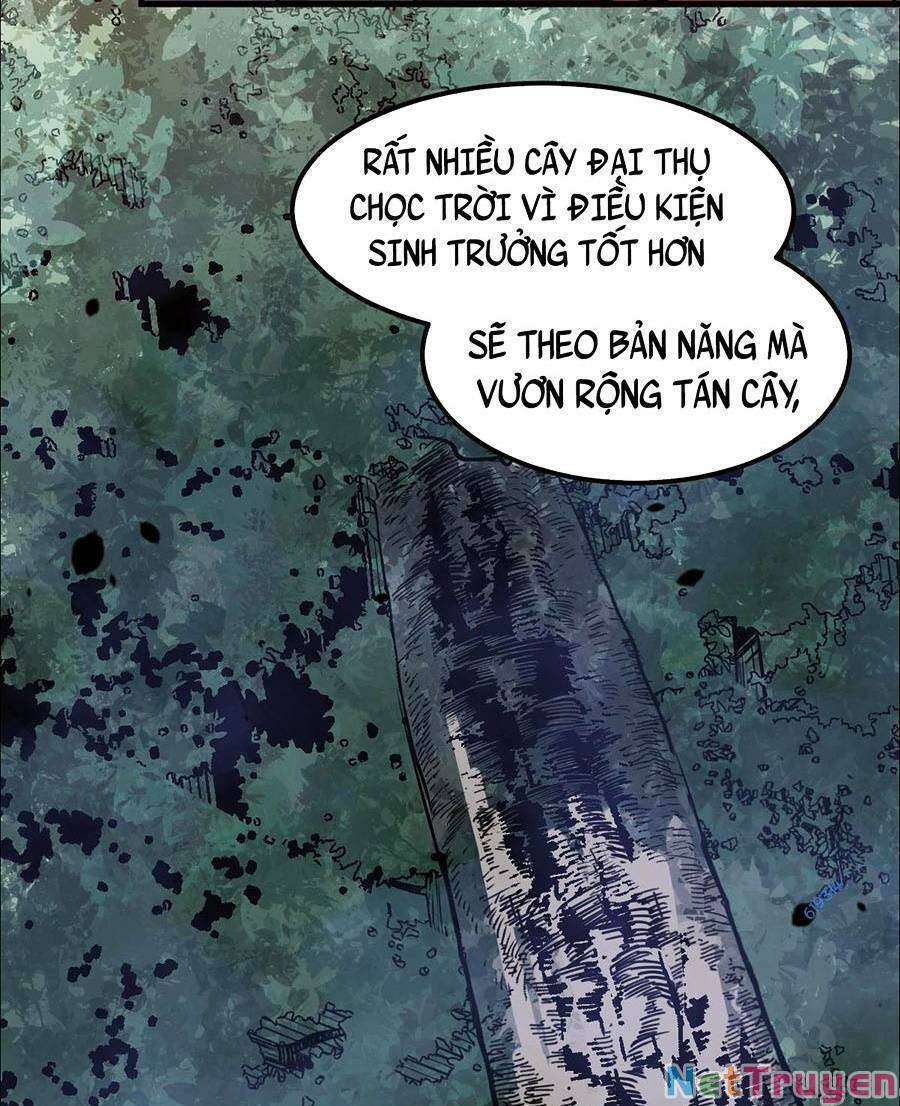 Siêu Phàm Tiến Hóa Chapter 75 - Trang 66