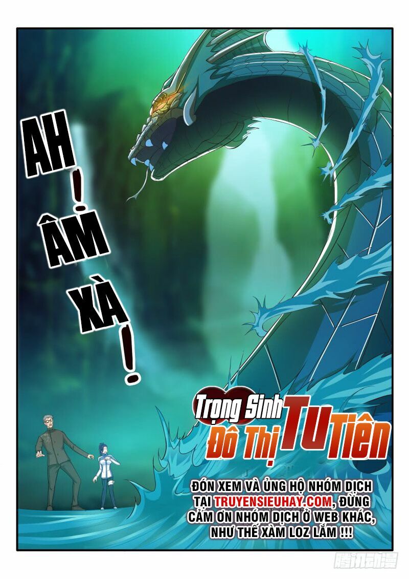 Trọng Sinh Đô Thị Tu Tiên Chapter 49 - Trang 11