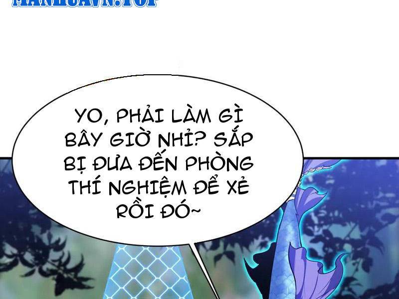 Linh Khí Khôi Phục: Từ Cá Chép Tiến Hoá Thành Thần Long Chapter 22 - Trang 103