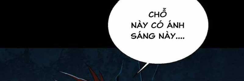 Linh Khí Khôi Phục: Từ Cá Chép Tiến Hoá Thành Thần Long Chapter 19 - Trang 206