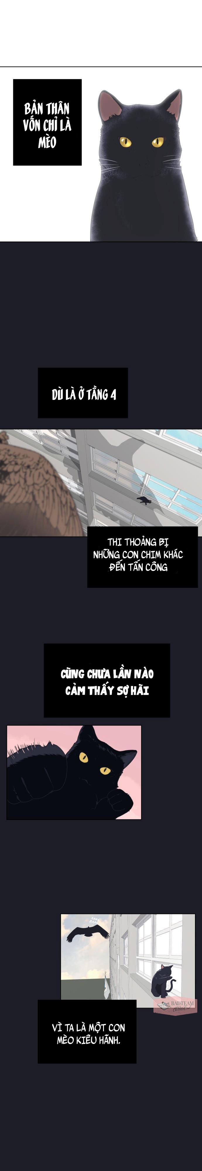 Vua Đóng Cọc Chapter 2 - Trang 26