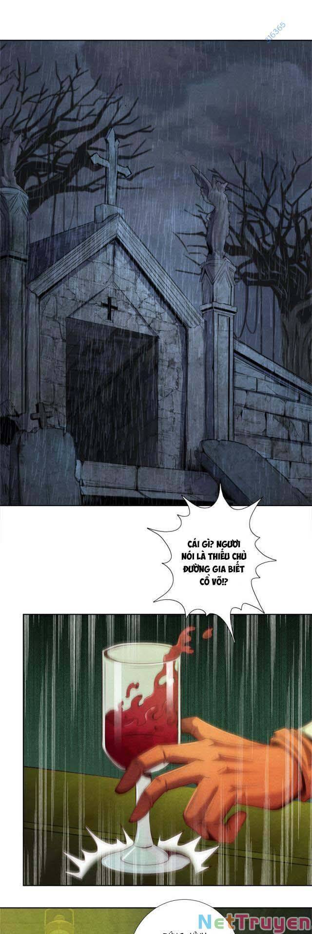 Cựu Nhật Chúa Tể Chapter 9 - Trang 13