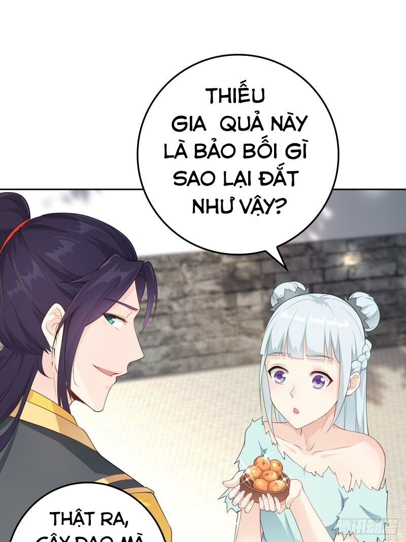 Người Ở Rể Bị Ép Thành Phản Diện Chapter 11 - Trang 5