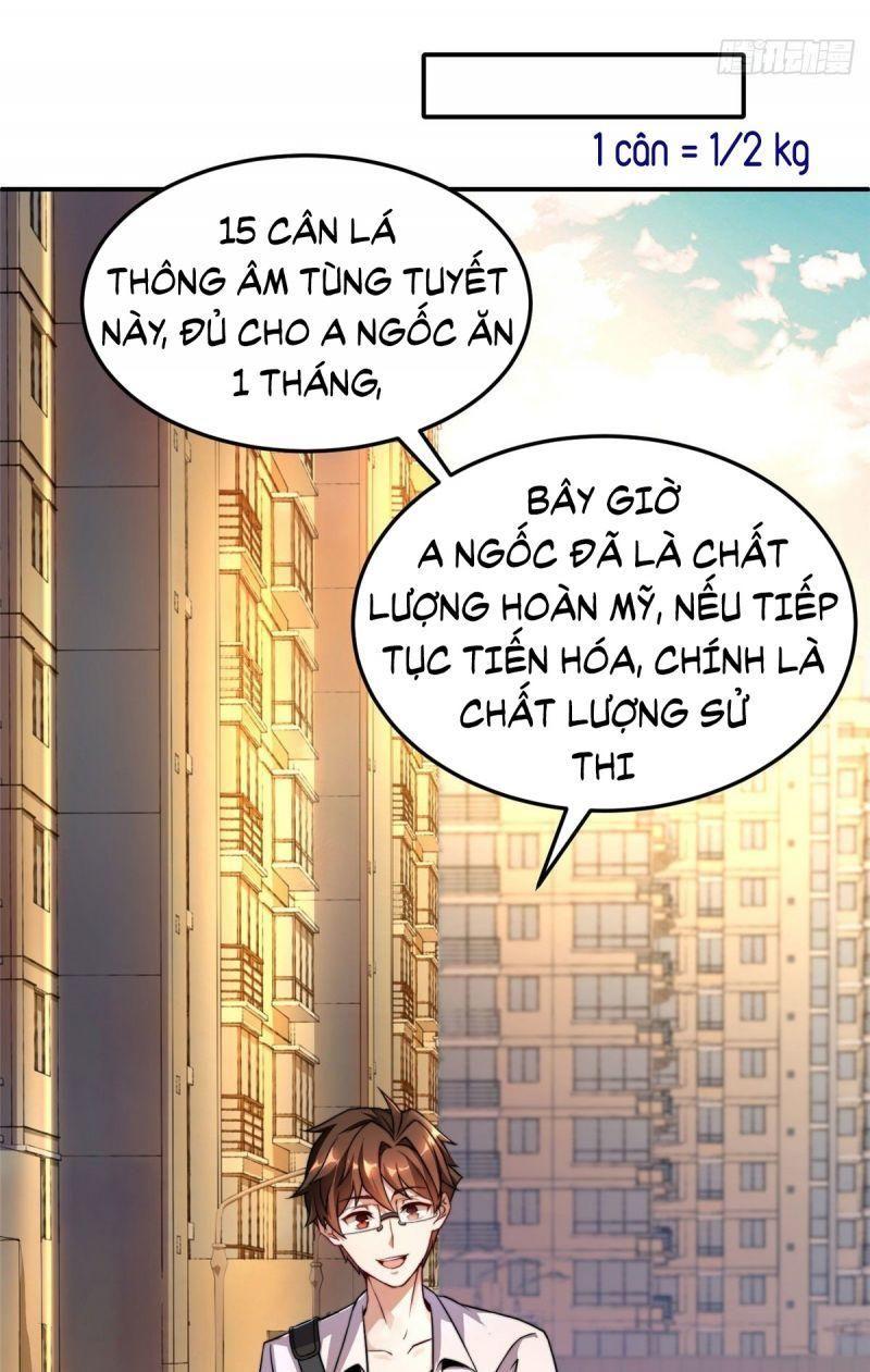 Thần Sủng Tiến Hóa Chapter 12 - Trang 11